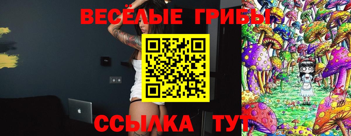 наркота  Вход с VPN  Усинск  Галлюциногенные грибы Psilocybine cubensis 